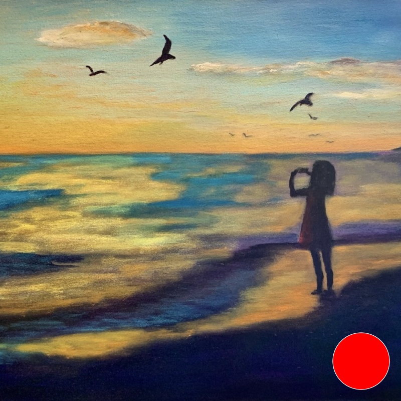 Sunset Birds Sunset Birds