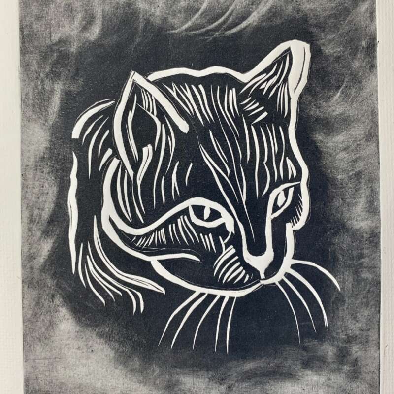 Big Cat Big Cat